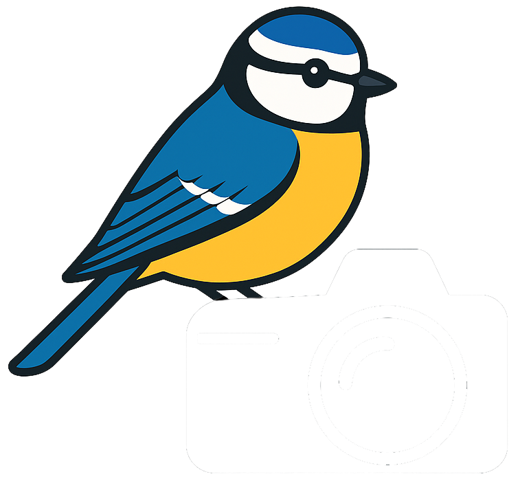 Delcourt Fotografia